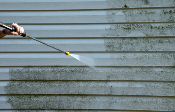 Best Best Pressure Washing Companies  in Lexington, MI