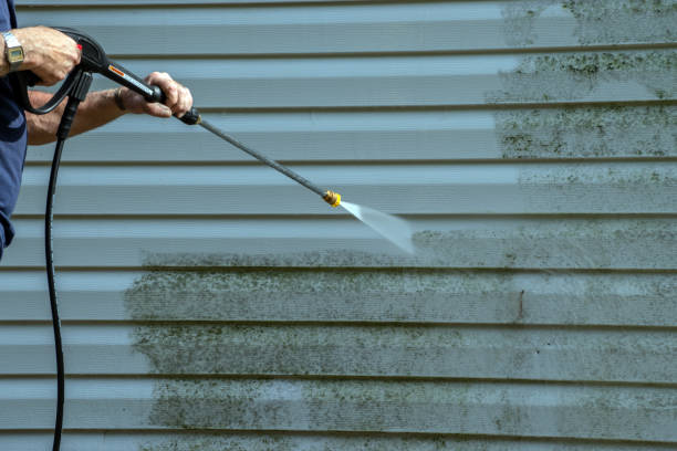 Best Roof Power Washing Services  in Lexington, MI
